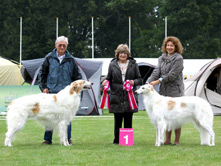 Multi CH, CRUFTS WINNER 2015 YEGOROV HOTTER THAN JULY      Multi CH, WORLD WINNER 2015 R. A. VIENNA VIRTUS CLARA