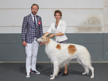 Multi CH, CRUFTS WINNER  2015 YEGOROV HOTTER THAN JULY