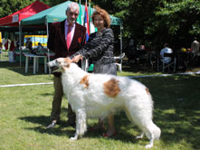 NATIONAL DOGSHOW to SEVESO