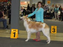 INTERNATIONAL DOGSHOW to LUXSEMBOURG